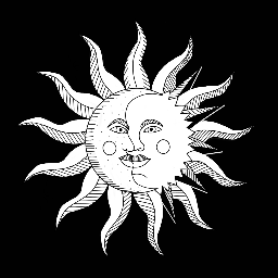 Lunar Coven server icon, an inclusive witchcraft and spirituality server with tarot, astrology, and herbalism